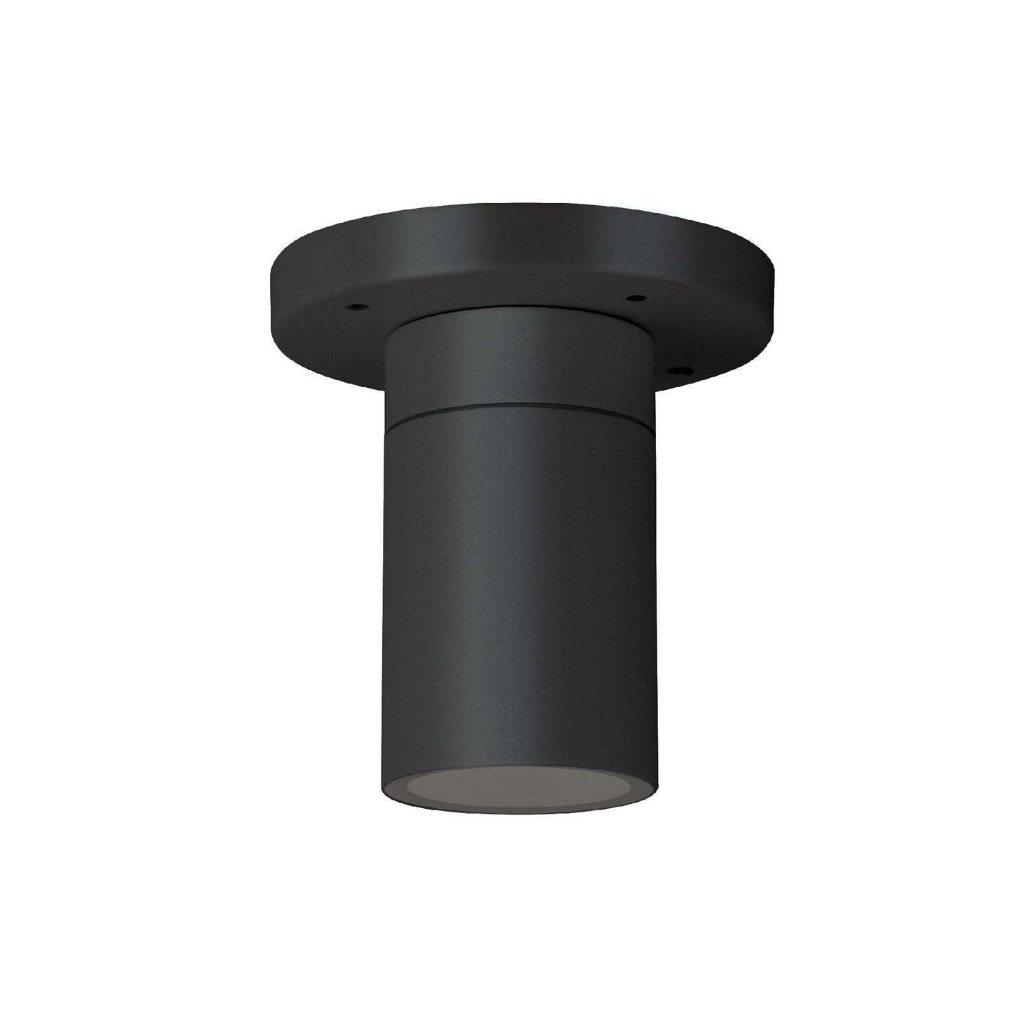 Palmas Series / Outdoor Ceiling Mounted 1 - Down Aluminum Light