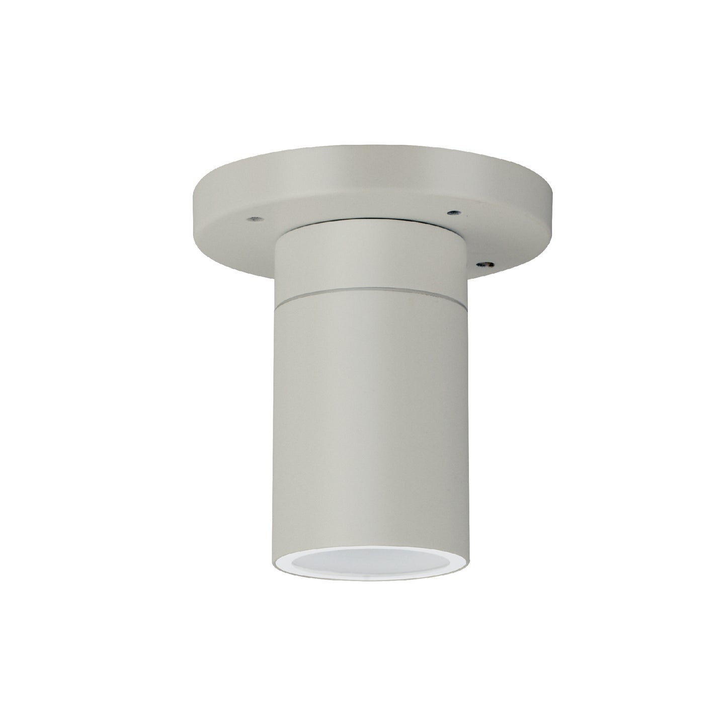 Palmas Series / Outdoor Ceiling Mounted 1 - Down Aluminum Light