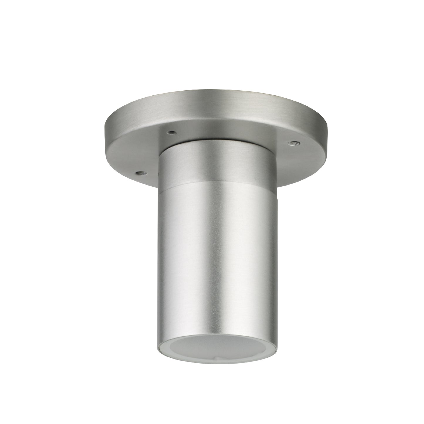 Palmas Series / Outdoor Ceiling Mounted 1 - Down Aluminum Light