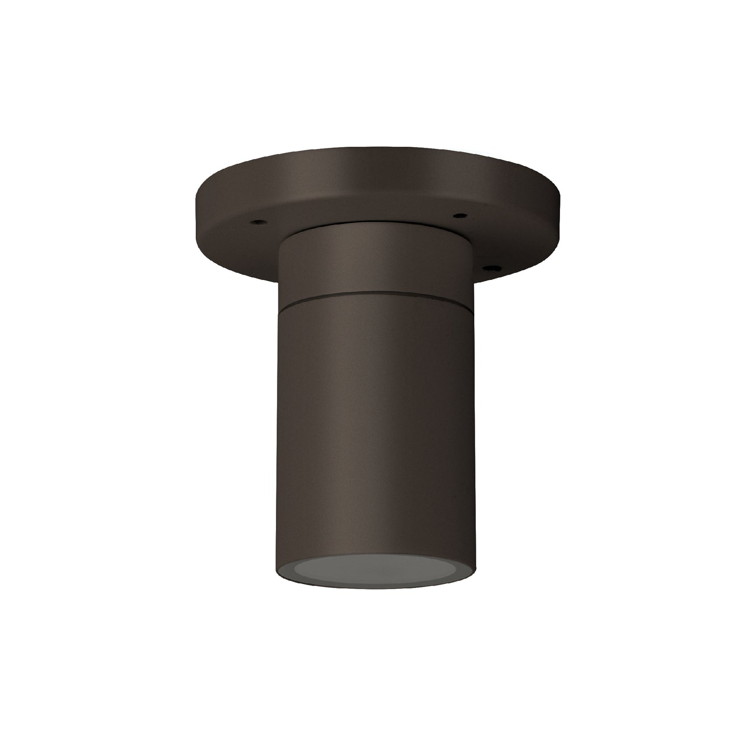 Palmas Series / Outdoor Ceiling Mounted 1 - Down Aluminum Light