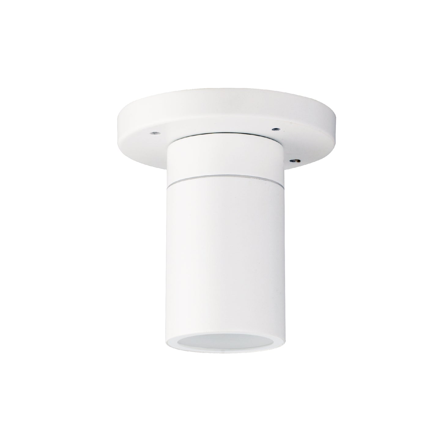 Palmas Series / Outdoor Ceiling Mounted 1 - Down Aluminum Light