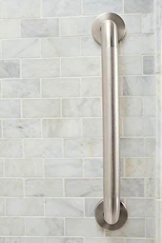 Moen Home Care Peened 18" Concealed Screw Grab Bar #LR8918P