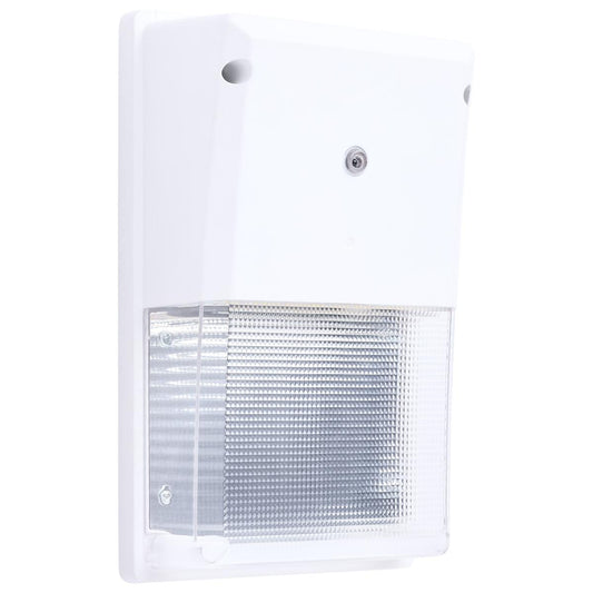 LED Turtle Friendly Small 20W White/ Dimmable 120-277 Volt/ Wall Pack/ 2493 Lumens