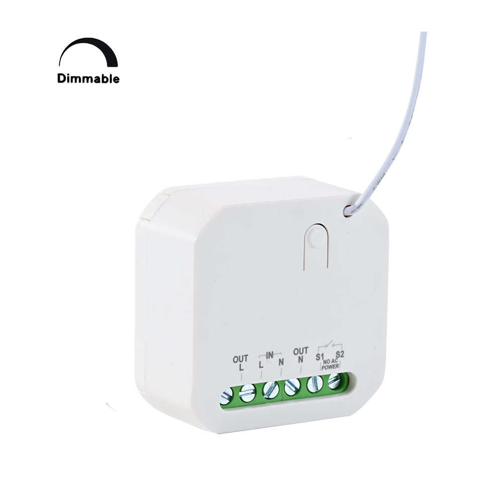 SWITCH CONTROL 100W ON/OFF DIM