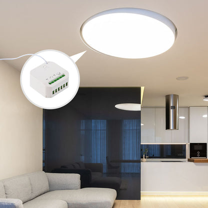SWITCH CONTROL 100W ON/OFF DIM
