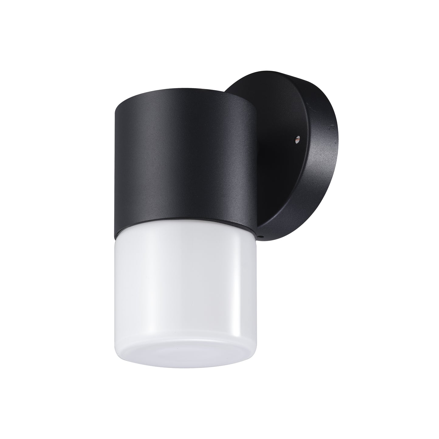 Palo Seco 1 Series / Outdoor Wall Mounted 1 - Down Aluminum Light