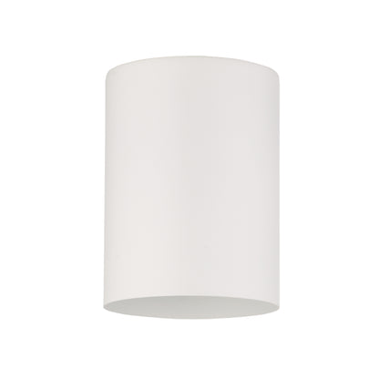 Condado Series / Outdoor Ceiling Aluminum Light