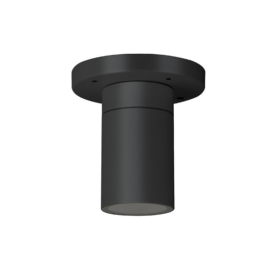 Palmas Series / Outdoor Ceiling Mounted 1 - Down Aluminum Light