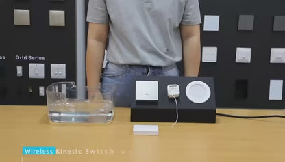 SWITCH CONTROL 100W ON/OFF DIM