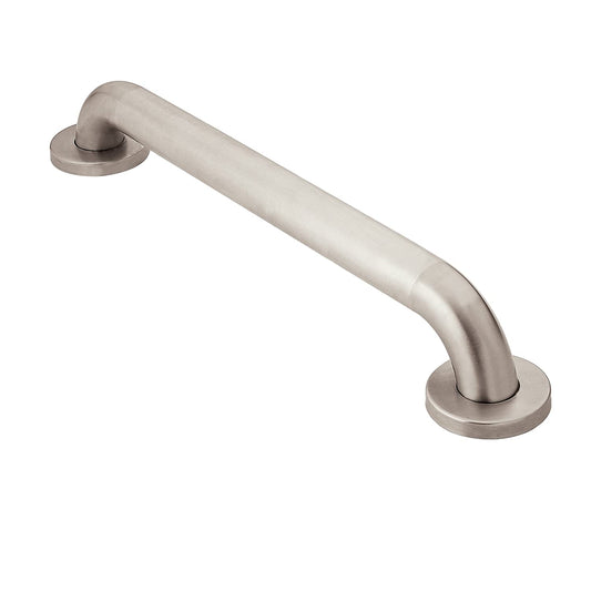 Moen Home Care Peened 24" Concealed Screw Grab Bar #LR8924P